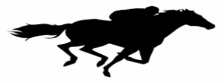 Bluff-Blackwater Amateur Race Club Inc