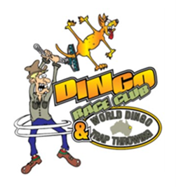 Dingo Race Club