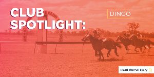 RQT-Club-Spotlight-800x400px-Dingo.jpg RQT-Club-Spotlight-800x400px-Dingo.jpg