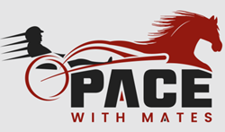 Stridyl.JPG pace with mates logo