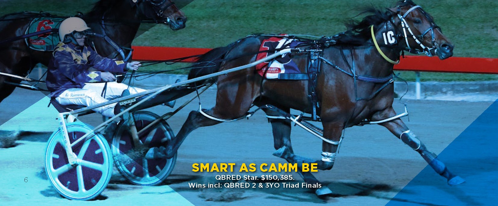 RQ-H-11290-QBRED-Brochure-A4-FA-Page-06.jpg RQ-H-11290-QBRED-Brochure-A4-FA-Page-06.jpg