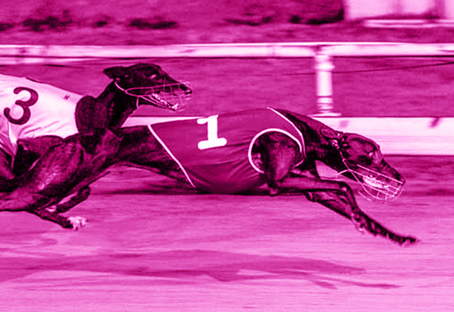 Townsville Greys