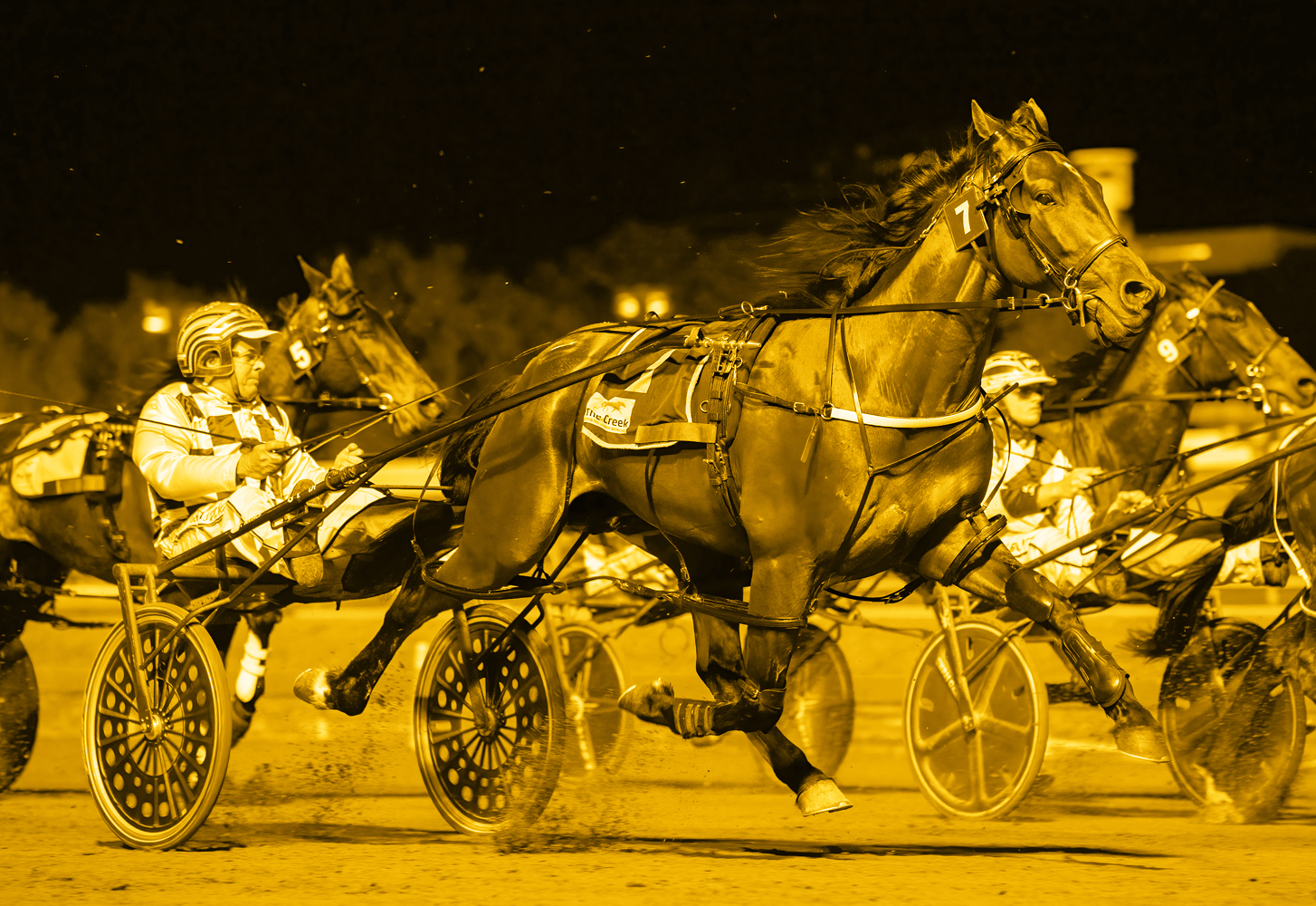 QSTARS QBRED Feature Night