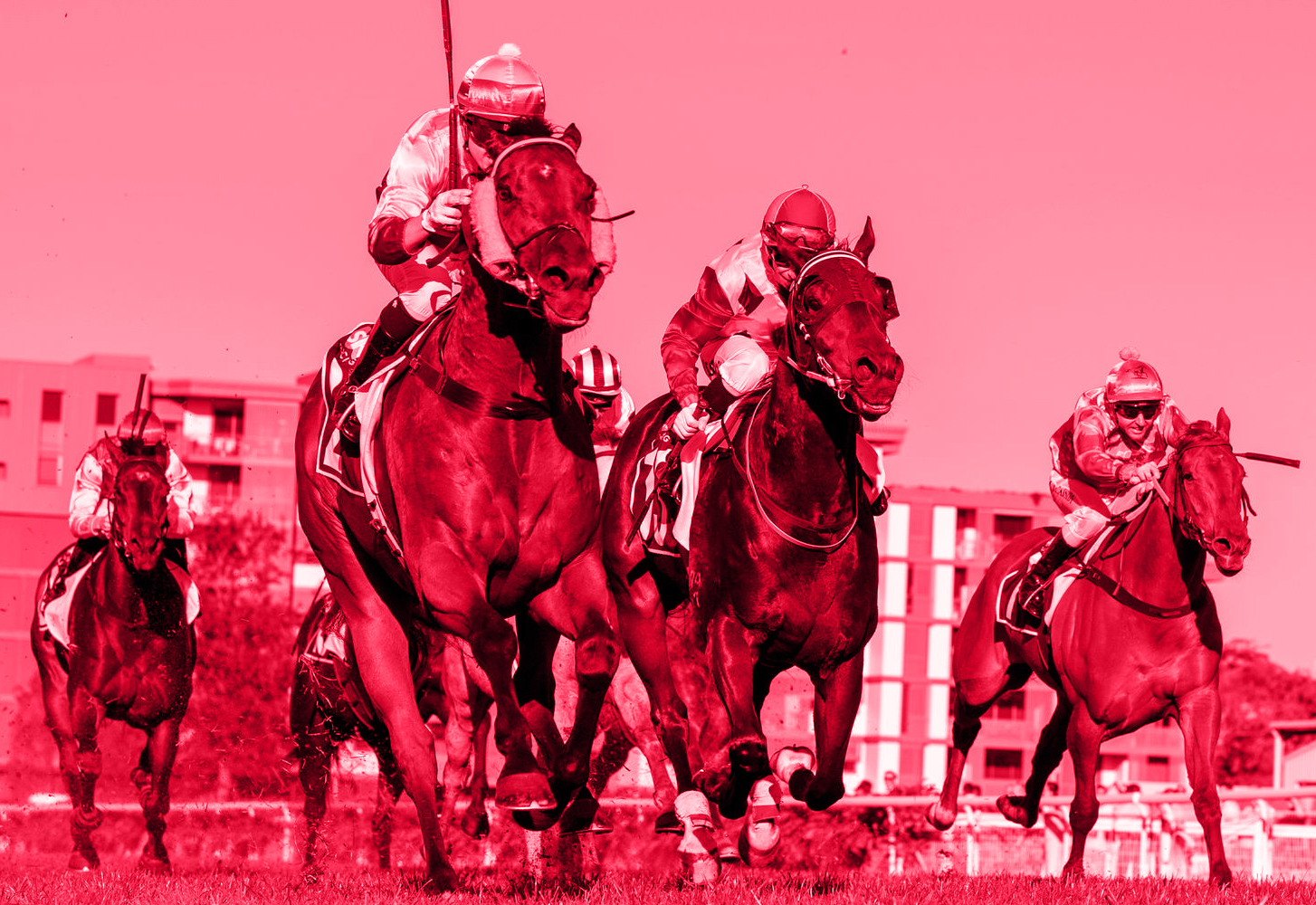 Dalby Raceday